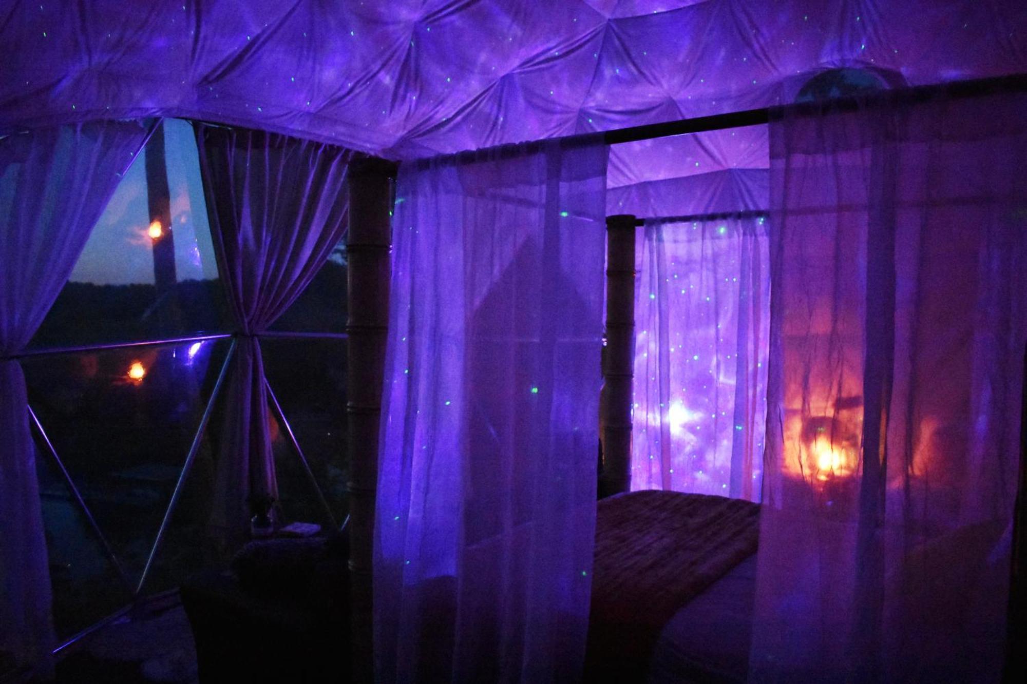 Отель Waterfront Luxury Glamping Dome Rogersville Экстерьер фото